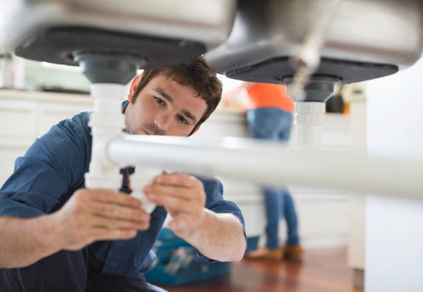 Best Local Plumber Services  in Bradford, TN